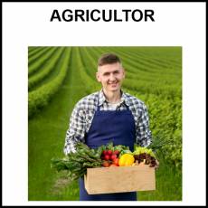 AGRICULTOR - Foto