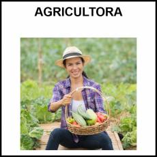 AGRICULTORA - Foto