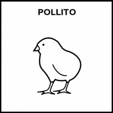 POLLITO - Pictograma (blanco y negro)