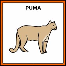 PUMA - Pictograma (color)
