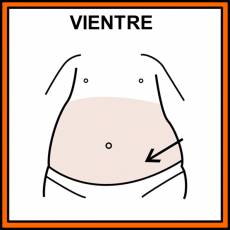 VIENTRE - Pictograma (color)