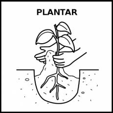 PLANTAR - Pictograma (blanco y negro)