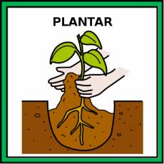PLANTAR - Pictograma (color)