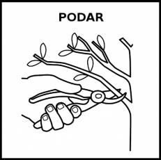 PODAR - Pictograma (blanco y negro)