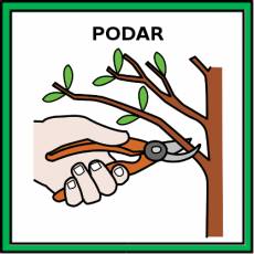 PODAR - Pictograma (color)