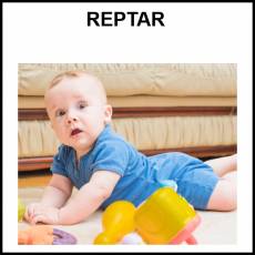 REPTAR - Foto