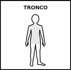 TRONCO (CUERPO HUMANO) - Pictograma (blanco y negro)