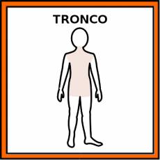TRONCO (CUERPO HUMANO) - Pictograma (color)