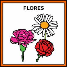FLORES - Pictograma (color)
