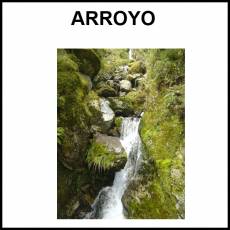 ARROYO - Foto