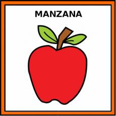 MANZANA - Pictograma (color)