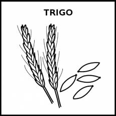 TRIGO - Pictograma (blanco y negro)