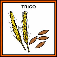 TRIGO - Pictograma (color)