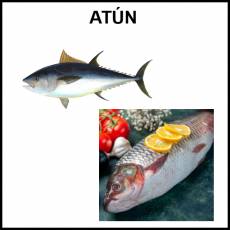 ATÚN (ALIMENTO) - Foto