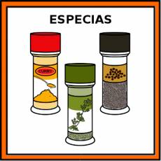 ESPECIAS - Pictograma (color)