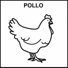 POLLO - Pictograma (blanco y negro)
