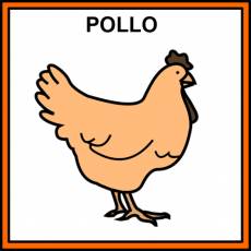 POLLO - Pictograma (color)