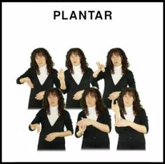 PLANTAR - Signo