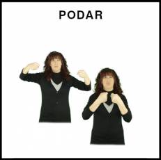 PODAR - Signo