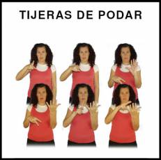 TIJERAS DE PODAR - Signo