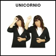 UNICORNIO - Signo