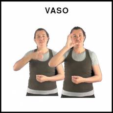 VASO - Signo