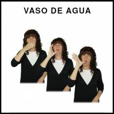 VASO DE AGUA - Signo