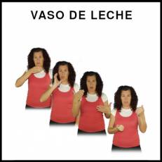 VASO DE LECHE - Signo