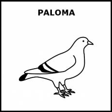 PALOMA - Pictograma (blanco y negro)