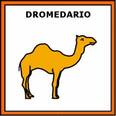 DROMEDARIO - Pictograma (color)