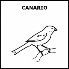 CANARIO - Pictograma (blanco y negro)