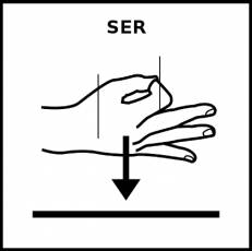 SER - Pictograma (blanco y negro)