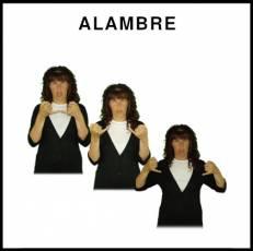 ALAMBRE - Signo