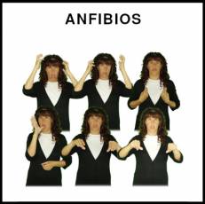 ANFIBIOS - Signo