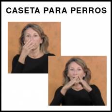 CASETA PARA PERROS - Signo