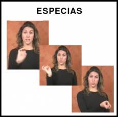 ESPECIAS - Signo