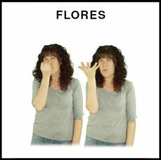 FLORES - Signo