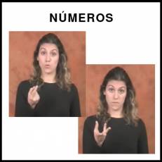 NÚMEROS - Signo
