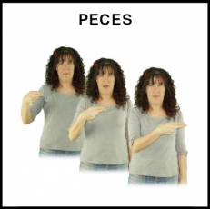 PECES - Signo