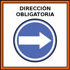 DIRECCIÓN OBLIGATORIA - Pictograma (color)