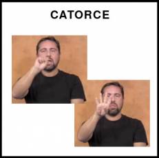 CATORCE - Signo