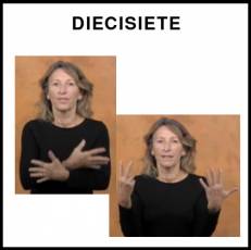 DIECISIETE - Signo