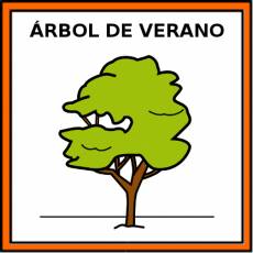 ÁRBOL DE VERANO - Pictograma (color)