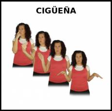 CIGÜEÑA - Signo