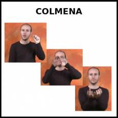 COLMENA - Signo