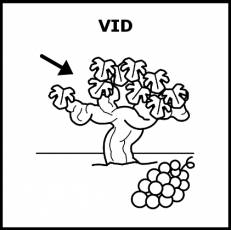 VID - Pictograma (blanco y negro)
