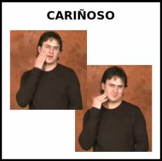 CARIÑOSO - Signo