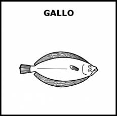 GALLO (PEZ) - Pictograma (blanco y negro)