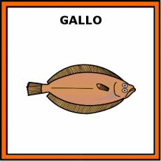 GALLO (PEZ) - Pictograma (color)