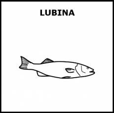 LUBINA (ANIMAL) - Pictograma (blanco y negro)